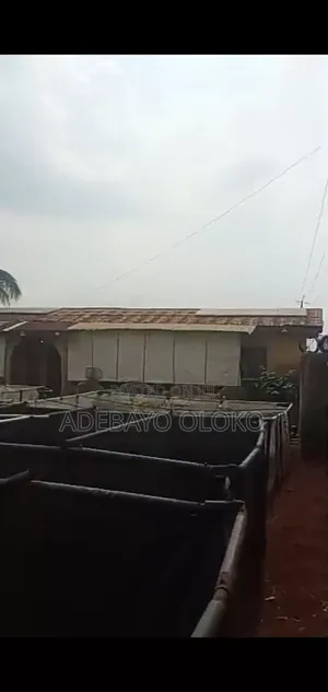 Fish Farm + Poultry Space