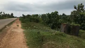Commercial Plots Facing Ore/Okitipupa Exp. Road, Ondo State