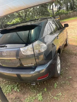 Lexus RX 330 2005 Gray