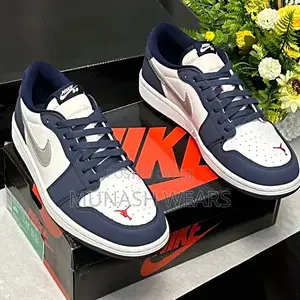 Sb Dunk Low Pro Blue 40-46