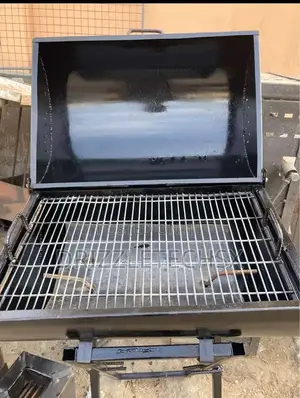 Barbecue Meat and Fish Griller