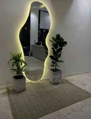 Luxury Wall Mirror