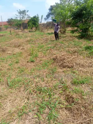 Professional Geophysical Survey Service