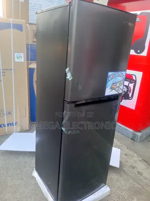 Skyrun Refrigerator Double Door Low Voltage