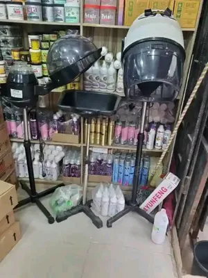 Hair Standing Dryer