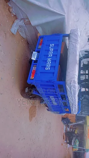 New Tricycle 2025 Blue