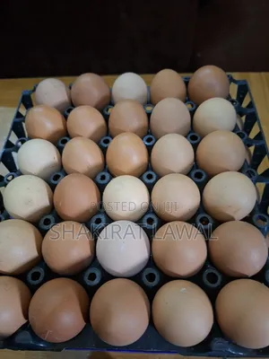 Crate of Eggs