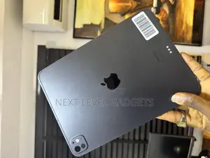 Apple iPad Pro 11 (2024) 256 GB Gray