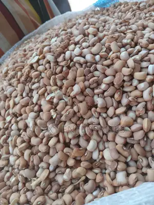 Drum Beans
