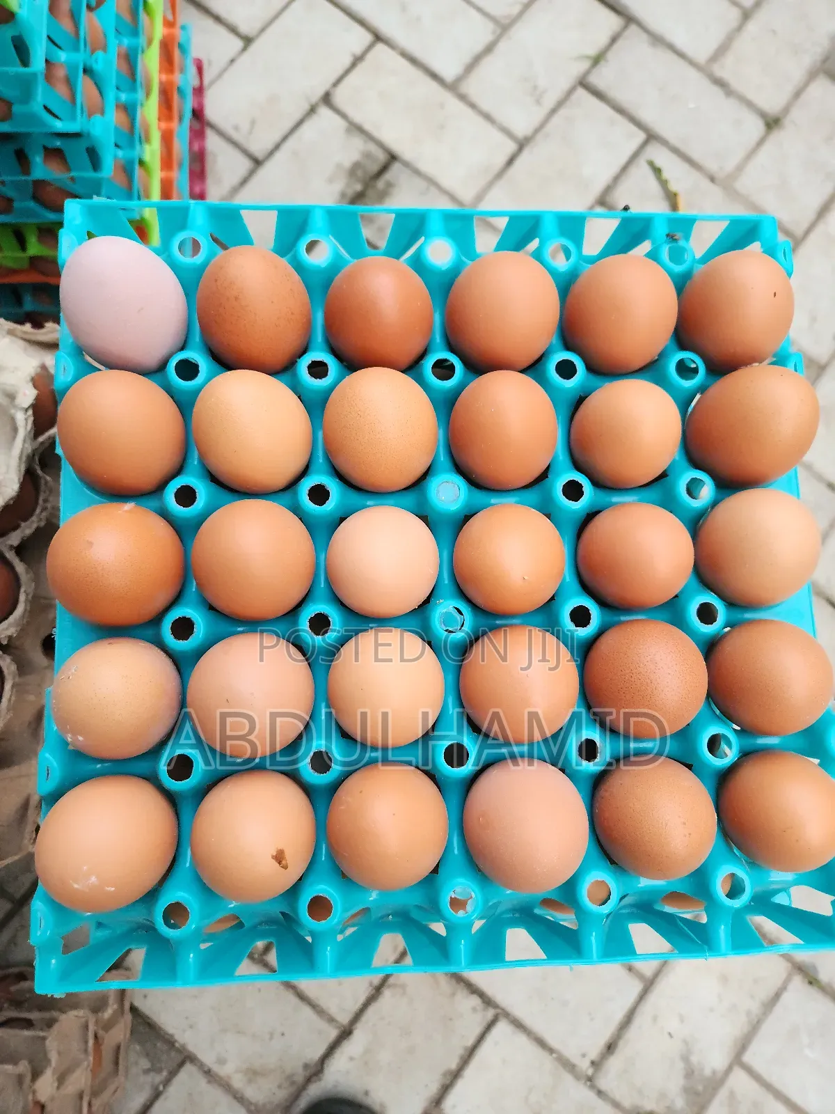 Fresh Eggs