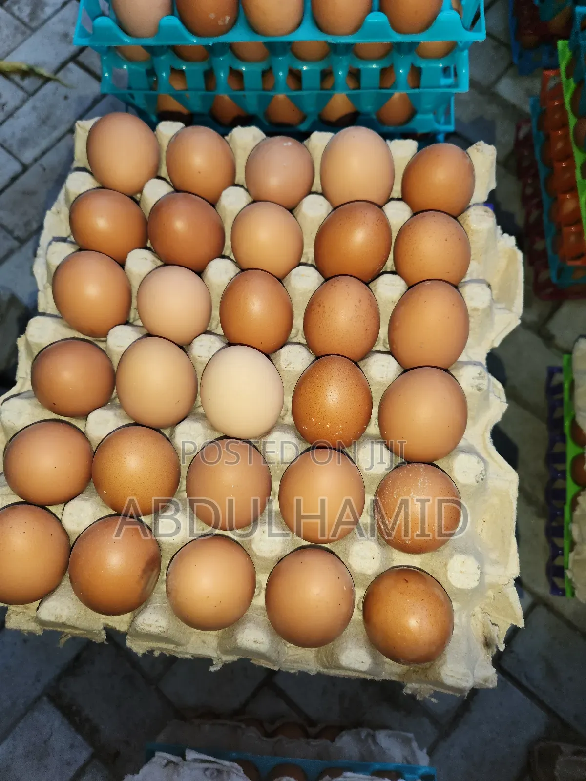 Fresh Eggs