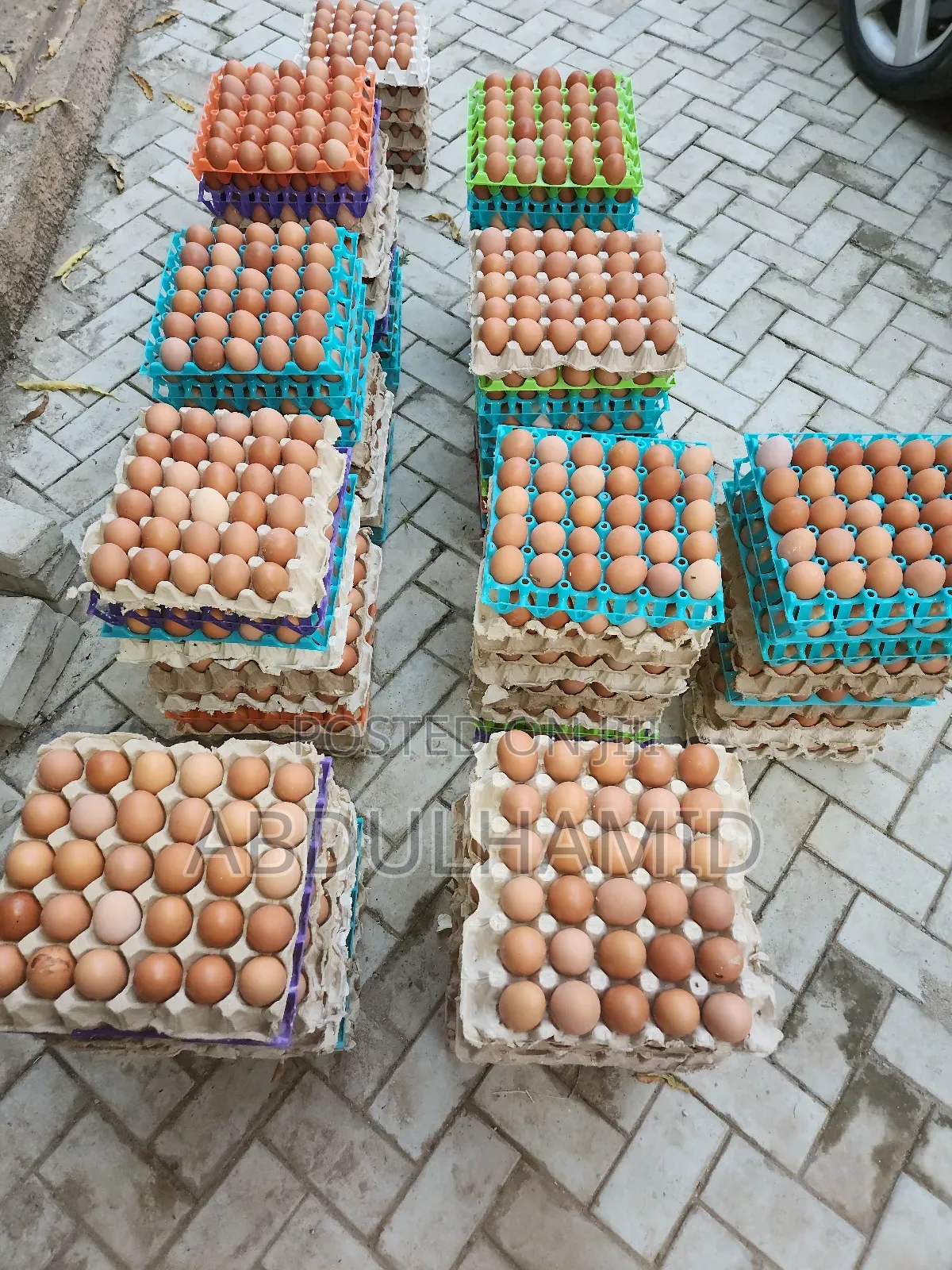 Fresh Eggs