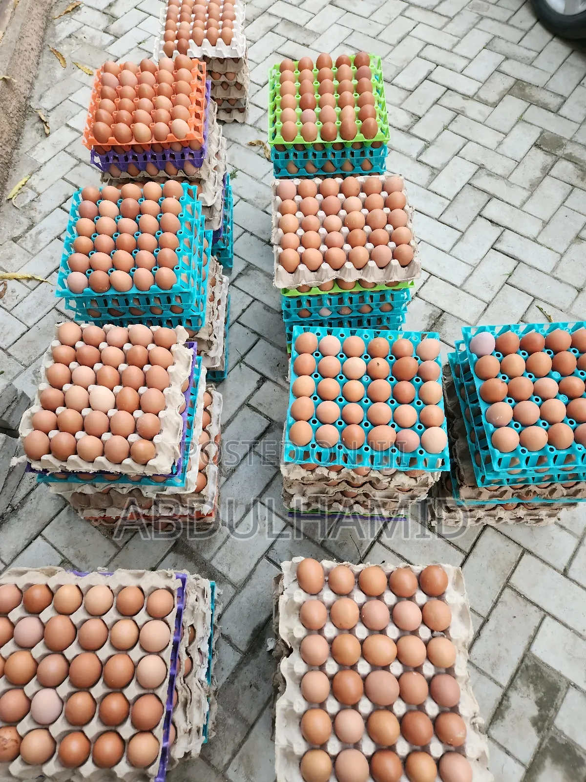 Fresh Eggs