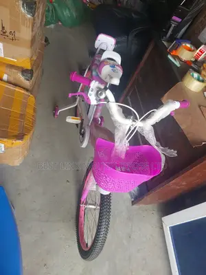 Brand New Bicycle Size 20