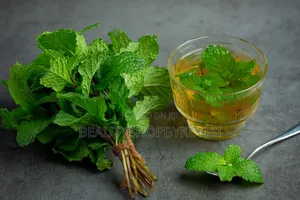 Spearmint Tea(20 Tea Bags Pack)
