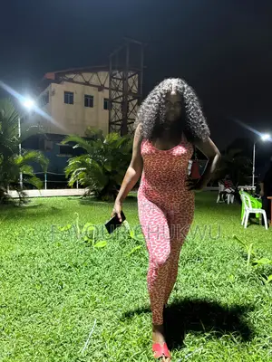 House Cleaner