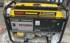 Firman Spg2900