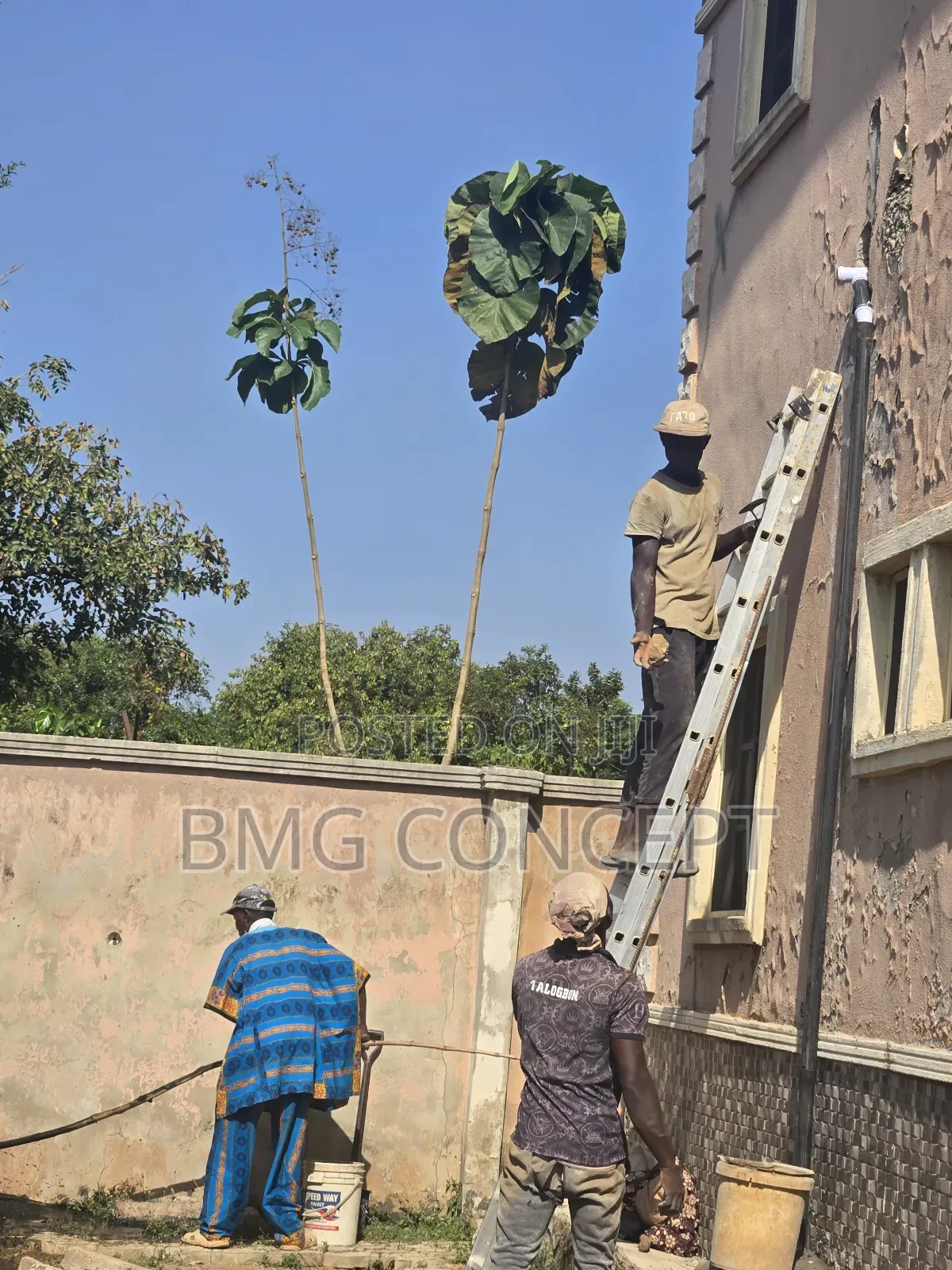 Real Estate Developer, Property Management, Fumigation Services