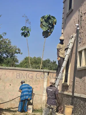 Real Estate Developer, Property Management, Fumigation Services