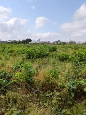 4 Plots of Land for Sale at Abegede Village,Ido Town.