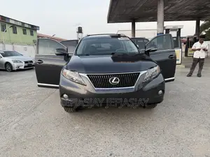 Lexus RX 350 2010 Gray