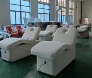 Brand New Luxury Executive Motorized Bed