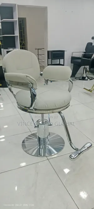 Beauty Salon Chair Grey Silver