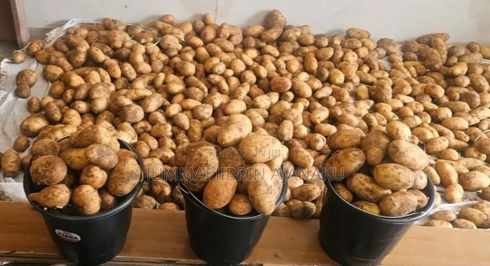 Fresh Irish Potatoes