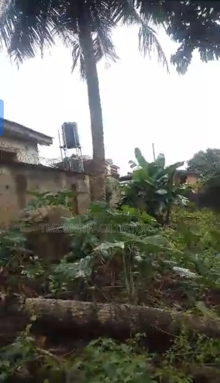 Full Plot of Land With 3bdrm Flat at Decking Level