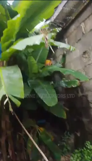 Full Plot of Land With 3bdrm Flat at Decking Level