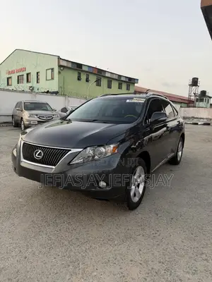 Lexus RX 350 2010 Gray
