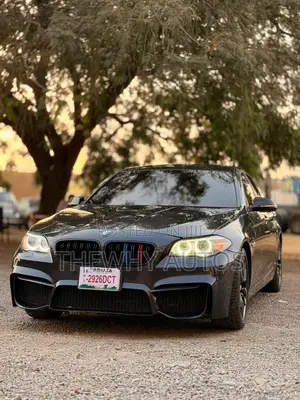 BMW 528i 2014 Blue