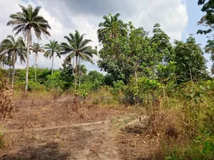 200 by 200 Land for Sale at Oha in a Fast Developing Layout