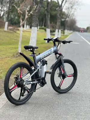 Original Bicycle
