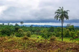 First Plot With Cofo : Land Size: 2,150.25m2. Residential Purpose.
