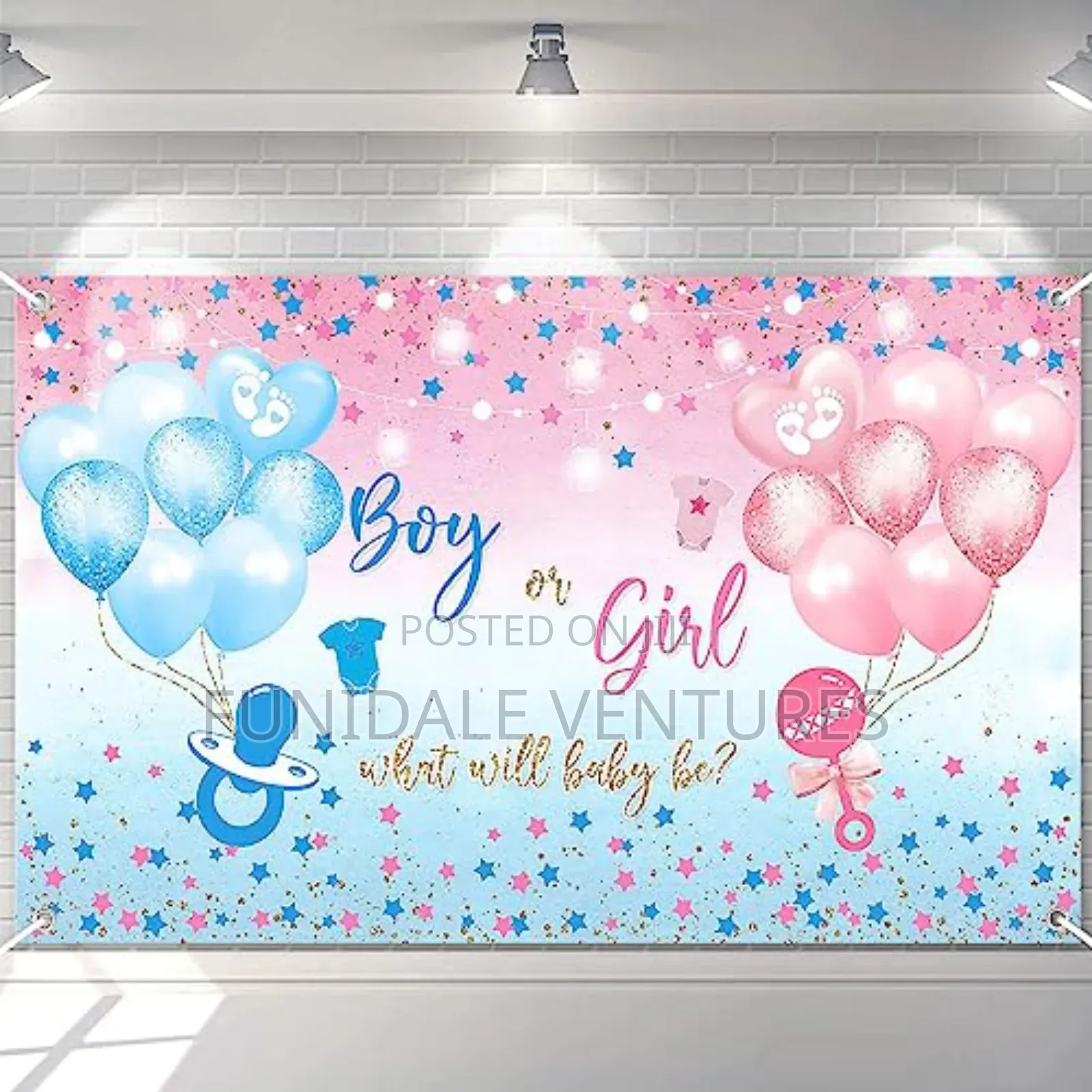 Gender Reveal Backdrop 7ft X 5ft