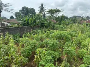 3 And Half Plots Of Land , Fenced Gated At Ogborhill Aba Abia State