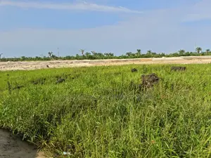 500sqm for Sale at Signature Estate, Monastery, Sangotedo
