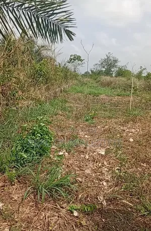 4plot of 100 Ft 100 Farm Land for Sale in Issele Uku