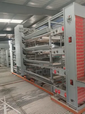Full Automated Poultry Cage