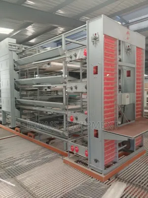 Full Automated Poultry Cage