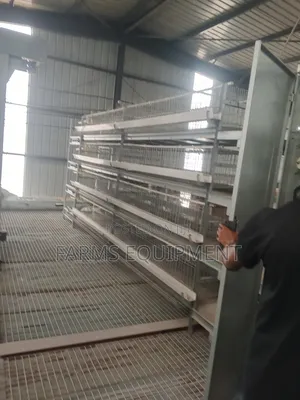 Full Automated Poultry Cage
