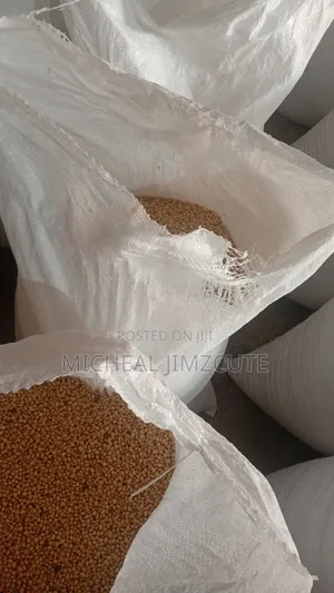 Soyabeans 99% Purity