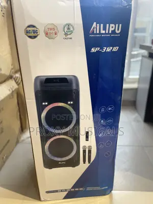 Ailipu Pa System Double 12”