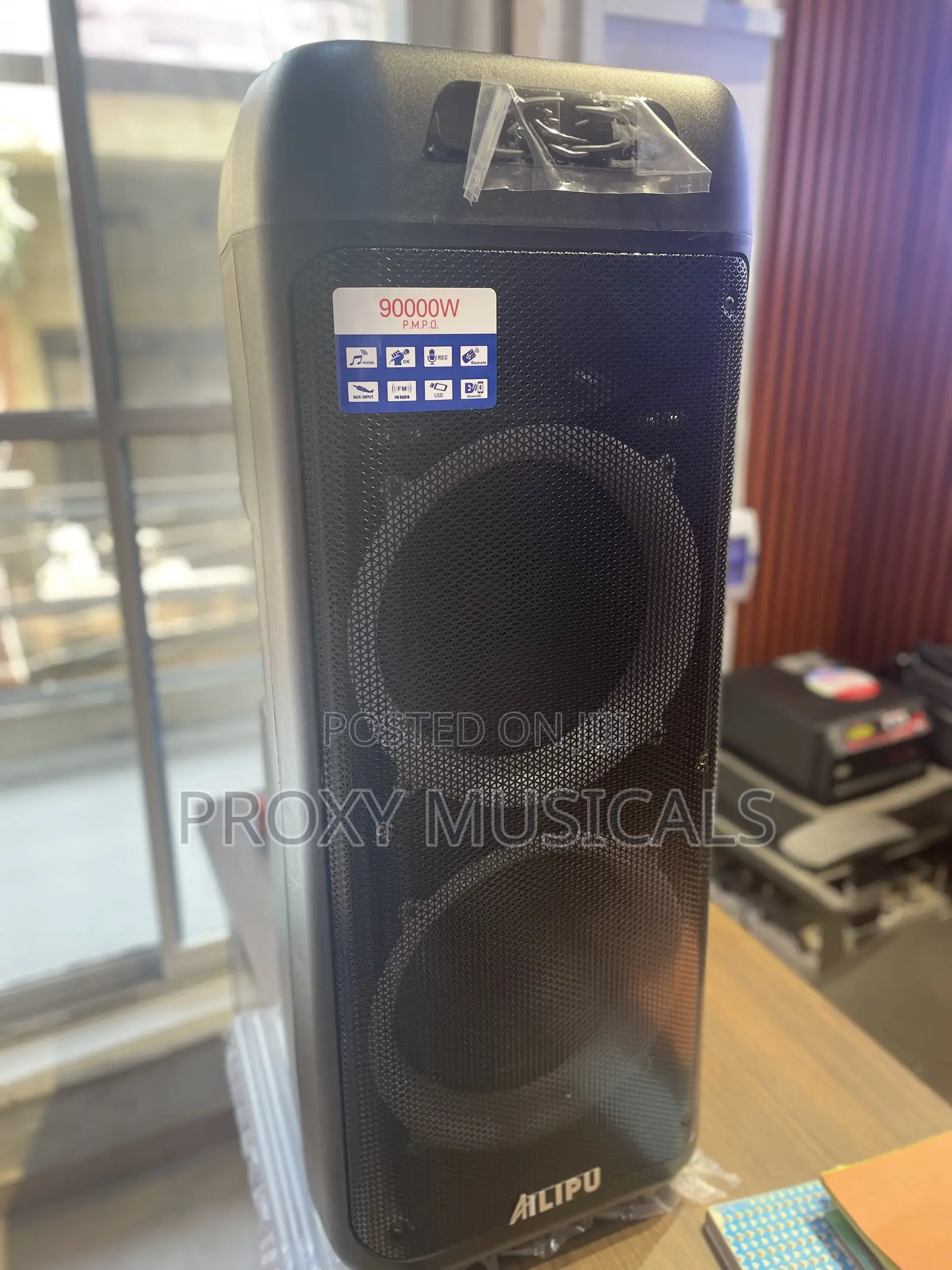 Ailipu Pa System Double 12”