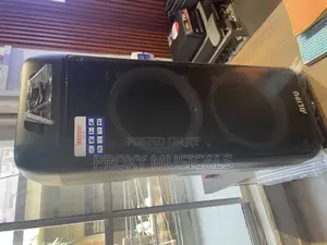 Ailipu Pa System Double 12”