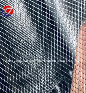Metal Screen Mesh