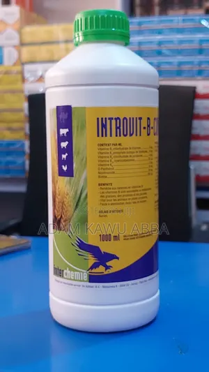 Introvit-B-Complex Oral 1000ml