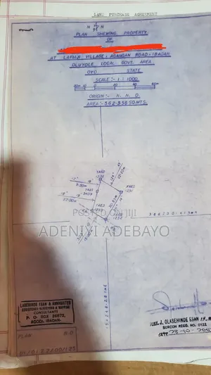 Half a Plot of Land