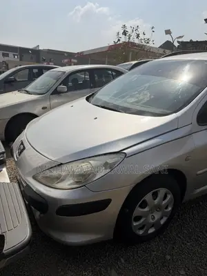Peugeot 307 2005 Silver